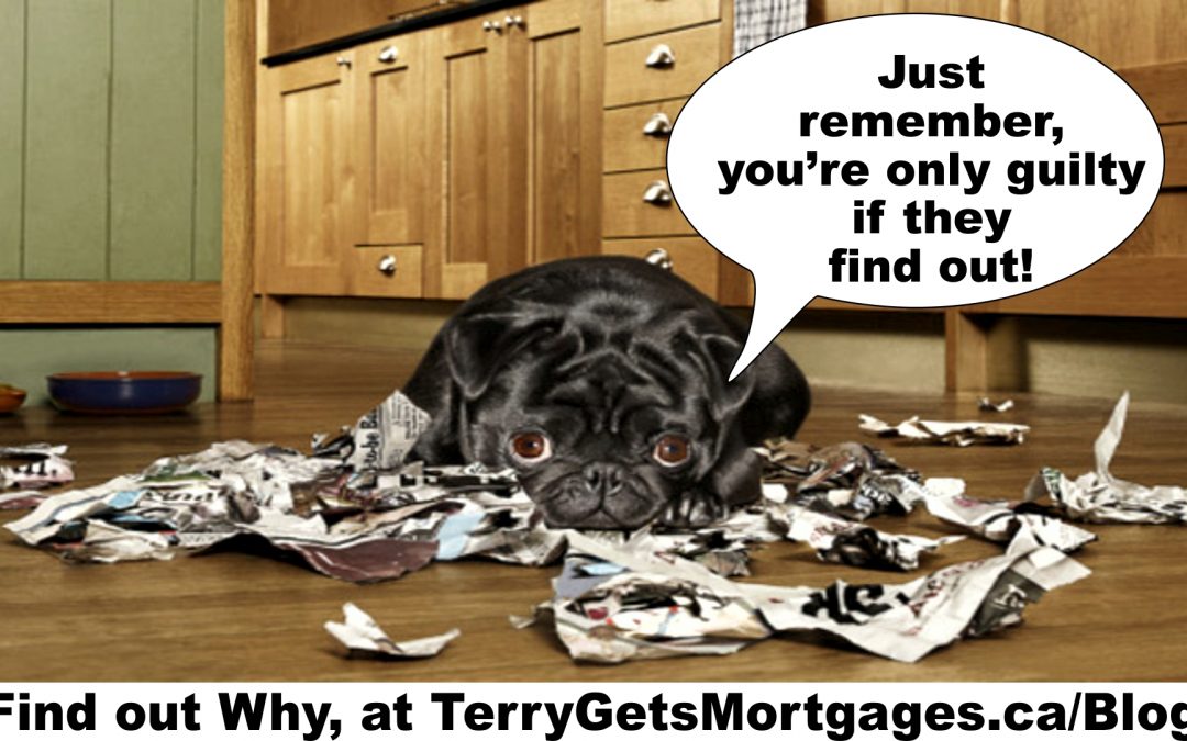 Tell the TRUTH on your Mortgage Applications: Don’t get caught in Little White lies – or Fraud!