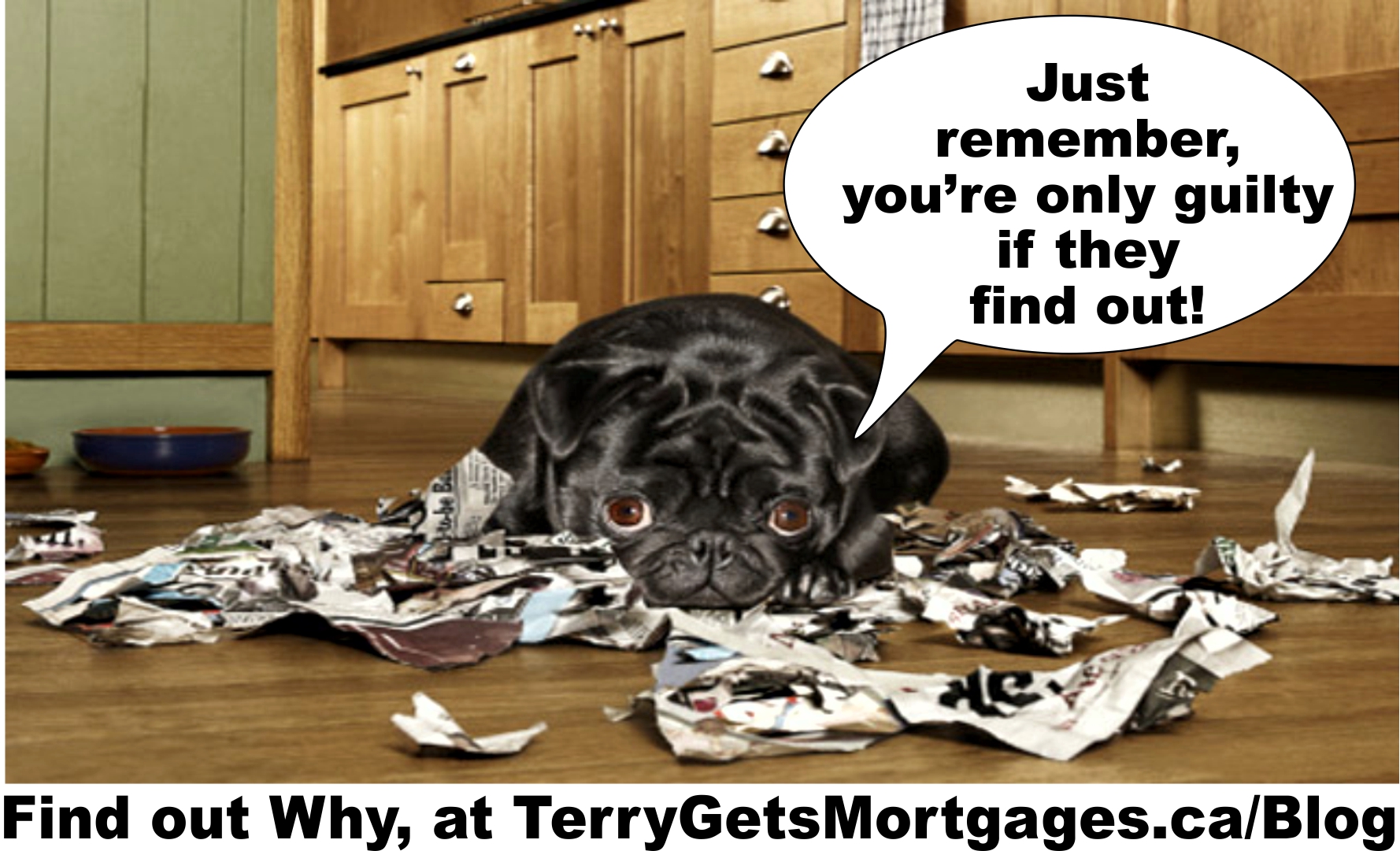 Tell the TRUTH on your Mortgage Applications: Don’t get caught in Little White lies – or Fraud!