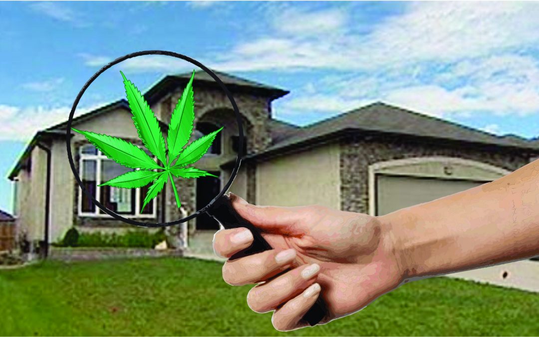 Are you living in a (former) ‘grow-op’?